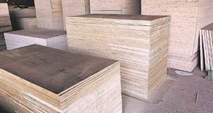 plywood-industry-