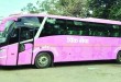 pink bus copy