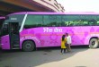 pink bus copy